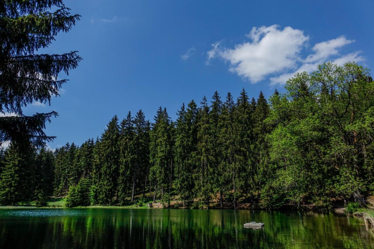 Pension Haus Saarland Oberhof  Εξωτερικό φωτογραφία